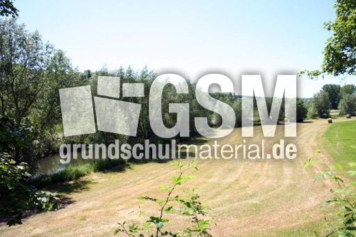 Wiese-gemaeht-2.jpg